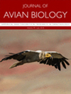 JOURNAL OF AVIAN BIOLOGY雜志封面